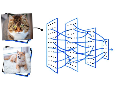 Image classification AI project